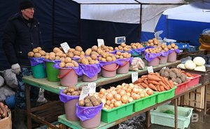 В Татарстане сократилось потребление овощей на душу населения