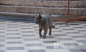 Большинство казанцев руководствуются бытовыми приметами в повседневной жизни