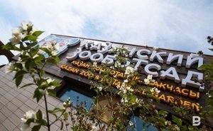 Администрация казанского зооботсада ответила на жалобу по поводу сосулек