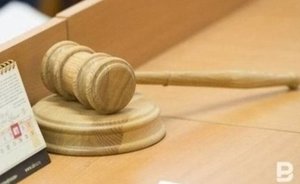 Суд вынес приговор хозяйке енота, который покусал ее ребенка