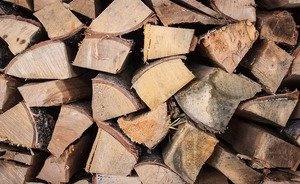 Россия может закрыть экспорт древесины в Китай