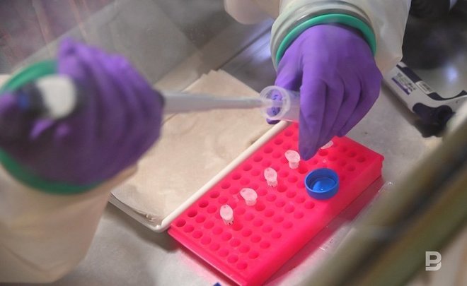 В Татарстане выявили три случая заражения клещевым энцефалитом