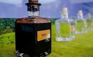 В Татарстане добыча нефти за 9 месяцев выросла на 4,5%