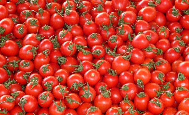 Россельхознадзор с 1 мая полностью снимает ограничения на поставки томатов из Турции